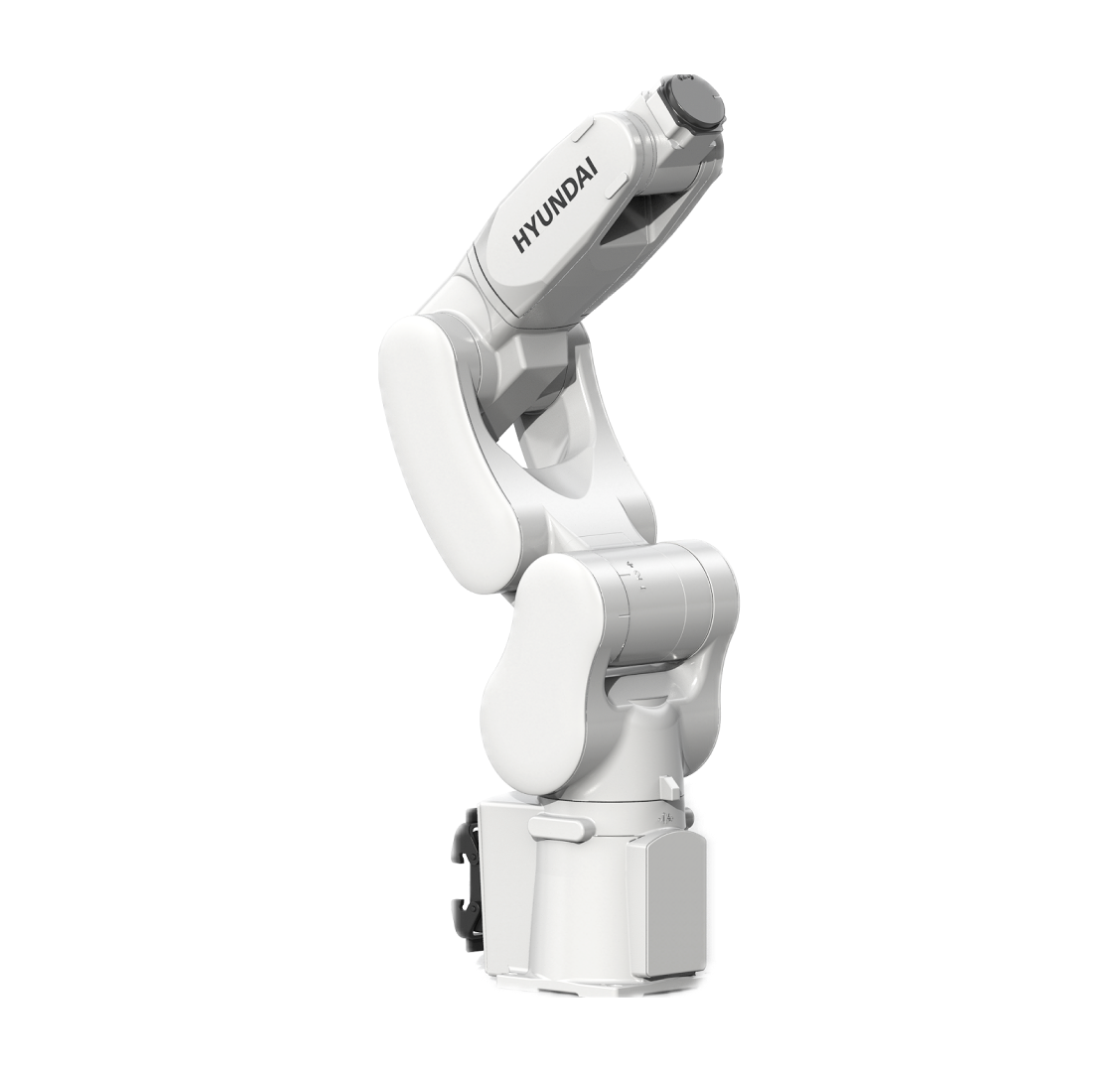 本体